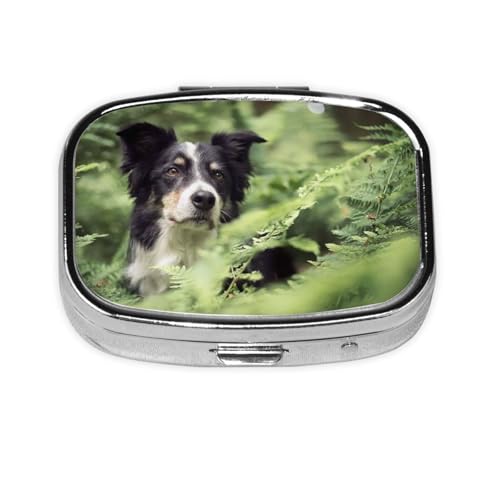 sP[X  gїp P[X s{bNX {[_[R[ {P ybg   ^ ` 肢P[X  ^т₷ |[` Vl q  sɕ֗RpNg ^