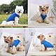 Kühlweste für Hunde, Kühlweste für Kleine Hunde, Hundes Kühlwestes, Coole und Bequeme Hundeweste für Den Sommer, Geeignet für Kleine und Mittelgroße Hundes/Blau L