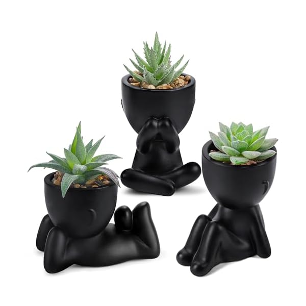 Der Rose 3Pcs Fake Plants Cute Artificial Succulent Faux Plants for Home Bathroom Bedroom Living Room Office Desk Shelf Black Decor Indoor Aesthetic