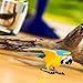 Safari Ltd. Blue and Gold Macaw Figurine - Detailed 4.5