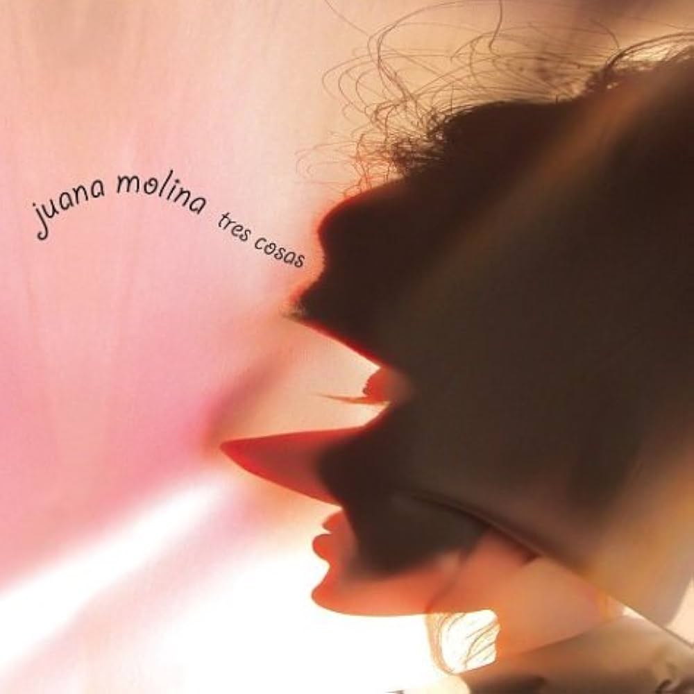 レコード Juana Molina 二枚 Juana Molina - Segundo | NEWTONE RECORDS