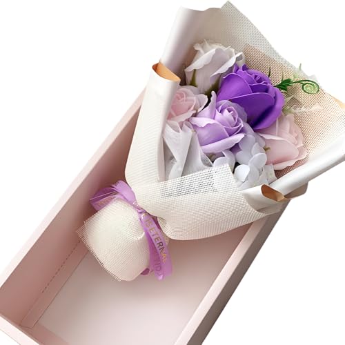 [Caividom]\[vt[ ԑ Mtg{bNX j oYj  AWR Idグ t ͔|sv 25cm NAP[X CeA Nԍs v[gΉ u[P{Mtg{bNX