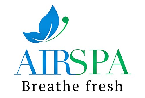 Image of AIRSPA Car Air Purifier with HEPA & Ioniser - CE, RoHS & ISO 9001:2015 Certified