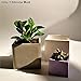 Silicone Molds for Concrete Flower Pot, 4.7 inch Square Planter Mold Concrete Moulds for DIY Handcraft Succulent Bonsai Flowerpots Home Office Tabletop Decorating Container(Color:Square 4.7 inch)