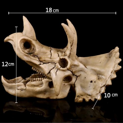 VOANZO Triceratops Schädel Modell Replik Harz Dinosaurier Zahnschädel Fossil Fotografie Requisiten Pädagogisches Werkzeug Home Ornament