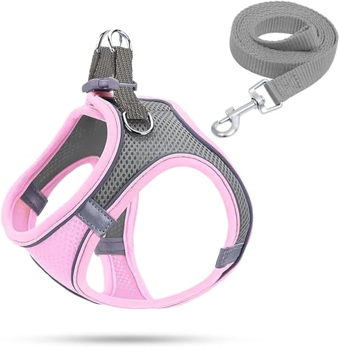 Hundegeschirr Kleine Hunde,Welpengeschirr Katzengeschirr Hunde Geschirr Leuchtend mit Leine,Curli Hundegeschirr Geschirr Hund Welpen Zubehör(Rosa,M)