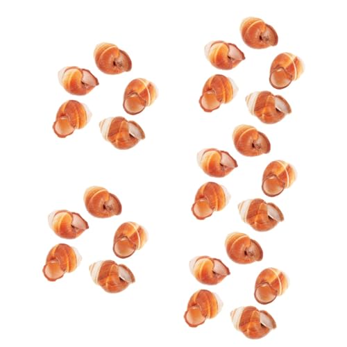 HOMOBABE 25piezas Escargot Shells Natural De Alta Temperatura para Cocción para Restaurantes y Reuniones Familiares Calor Aislante para Preparar Platos Franceses