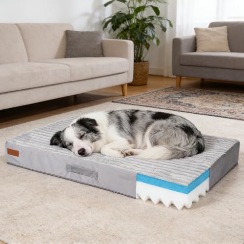 Opiniones y reviews de Colchonetas ortopedicas los 10 mejores. 50 CroSpin Cama Ortopédica Perro Mediano (89x55cm), Colchón 10cm Grosor (Memory Foam + Espuma Soporte), Funda Impermeable y Lavable, Cama Mascota Antiestrés para Shiba, Bulldog y...