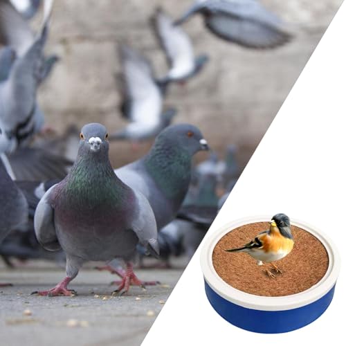 Nid d'éclosion pour pigeons évitant les œufs cassés en cage - 4