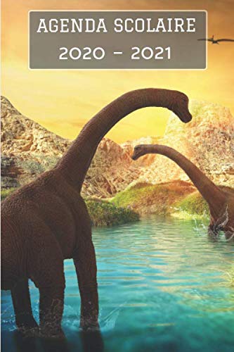 Télécharger Agenda Scolaire 2020 - 2021: Agenda 2020 - 2021 dinosaures - standard Primaire - Collège - Lycée - Livre PDF Gratuit