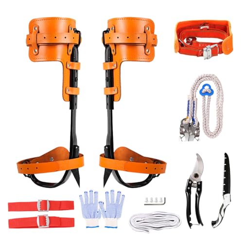 Rohseson c[NC~OMAAvc[NC~OXpCNZbgA߉\ȃc[NC~OXp[A؍ƁA؂̊ÁÁAAʕ̓E݂Ȃǂ (sN)