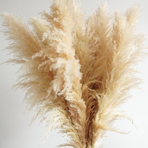 5 piezas pampas grass 50-60 cm decoración boho miniatura 2