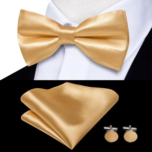 Image of Hi-Tie Men Suspender Bowtie Set Suspenders Pre-tied Bow Tie Pocket Square Cufflinks Adjustable Y Shape 6 Clips Braces Tuxedo