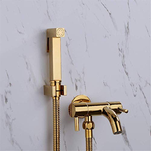 Douche kit double cuivre robinet pour éliminer les fuites de toilette
