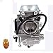 New Carburetor Carb for Arctic Cat 300 1998-2000