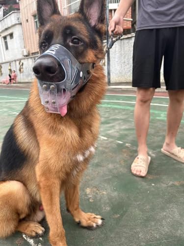 YAODHAOD Maulkorb für Hunde Transparent, PVC für große Hunde(L)