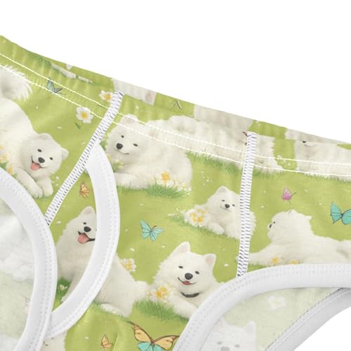 Wusikd Cute Samoyed Boys' Underwear Cotton Puppies Boys Briefs Soft Toddler Underwear 2T4