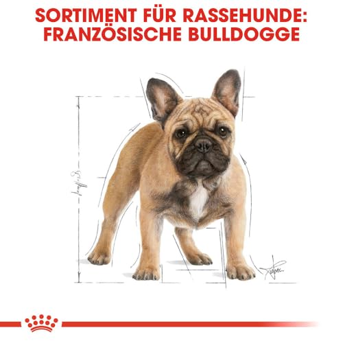 ROYAL CANIN French Bulldog Adult Trockennahrung für Hunde – 1.5 kg