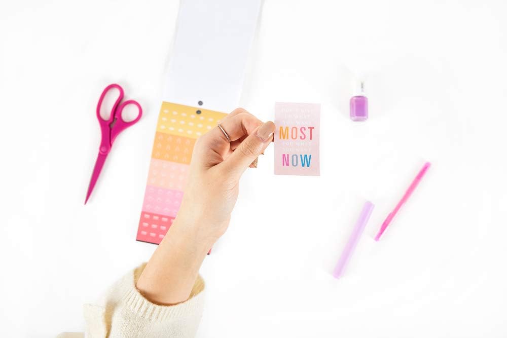 The Happy Planner Sticker Value Pack - Planner Accessories - Save Now Spend Later Theme - Multi-Color - Great for Budgeting & Organizing - 30 Sheets, 1170 Stickers : Office Products