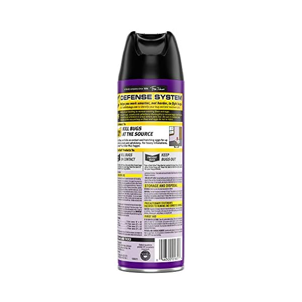 Raid Flea Killer Carpet & Room Spray, Kills hatching eggs for up to 4