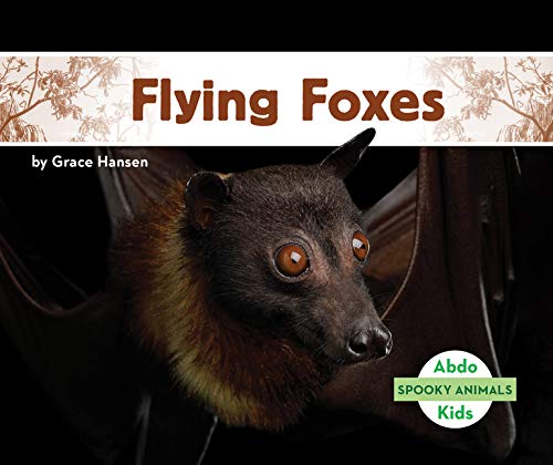 Flying Foxes