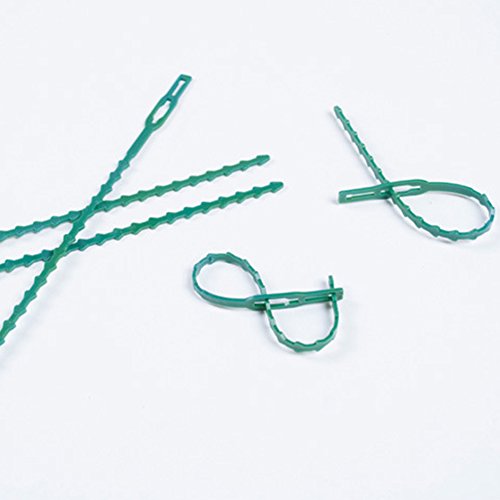 Exttlliy Plastic Reusable Adjustable Garden Plant Twist Tie Gardening Flexible Vines Tie for Garden Home Use Green (60Pcs)