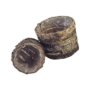 YARNOW 2 Stks Thuis Planter Containers Bonsai Ingemaakte Hotel Decoraties Natuurlijke Plant Vetplanten Party Container…