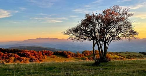 Marche: il Cammino delle Abbazie e i Sentieri per tutti