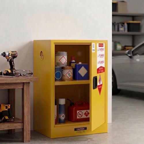 BLUEIAN 20 Gallon Flammable Storage Cabinet, 24' x 19' x 19' Fire Cabinet with ESD Grounding Cable, Stainless...