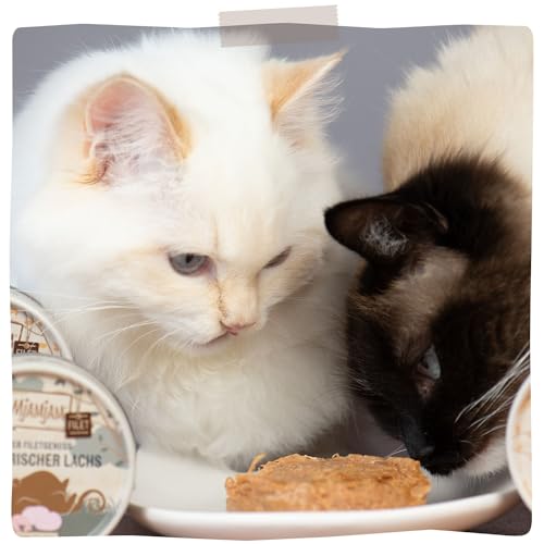 MjAMjAM - Premium Nassfutter für Katzen - Purer Filetgenuss Mixpaket, 9er Pack (9 x 80g), getreidefrei mit extra viel Fleisch