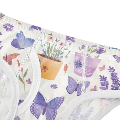 Wusikd Butterflies Lavender Boys' Underwear Cotton Flower Pots Boys Briefs Soft Toddler Underwear 2T4