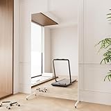 brisafe NanoMirror Non-Glass Ultra-Light 9.5 lbs Home Gym on Wheels, 67