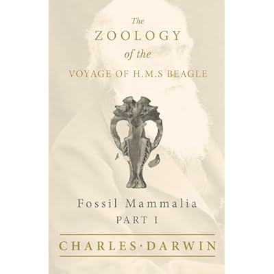 Fossil Mammalia - Part I - The Zoology of the Voyage of H.M.S Beagle: Under the Command of Captain Fitzroy - During the Years 1832 to 1836