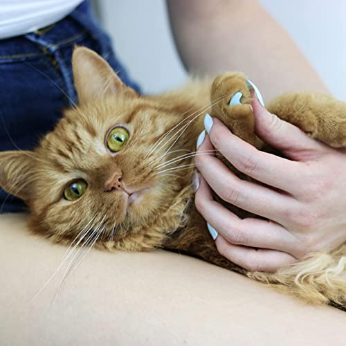 Image of Cat Nail Caps for Cats with Matching Acrylic Press-On Nails for Humans (Small, Light Blue with Silver Accent)
