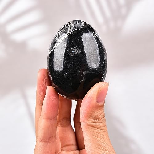 Image of AMOYSTONE Natural Orthoceras Stone Egg Large for Home Decor Ornamet, Single Height 3-3.5 inch