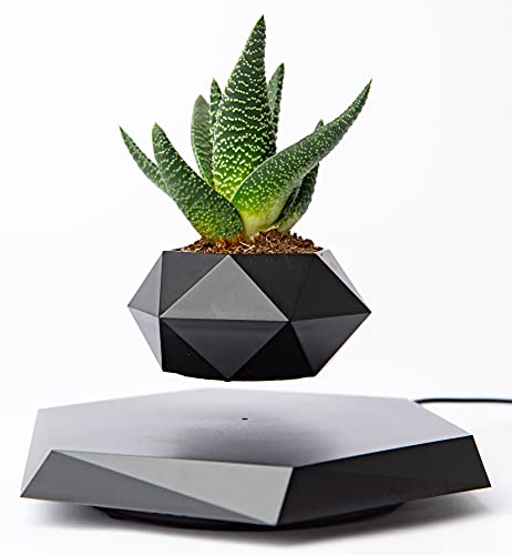 BandD Floating Plant Pot - Levitating Plant Pot for Succulents, air Bonsai & air Plants. Floating Planter for Home, Office & Desk Levitating Decor. Magnetic Floating Levitating Display. (Black)