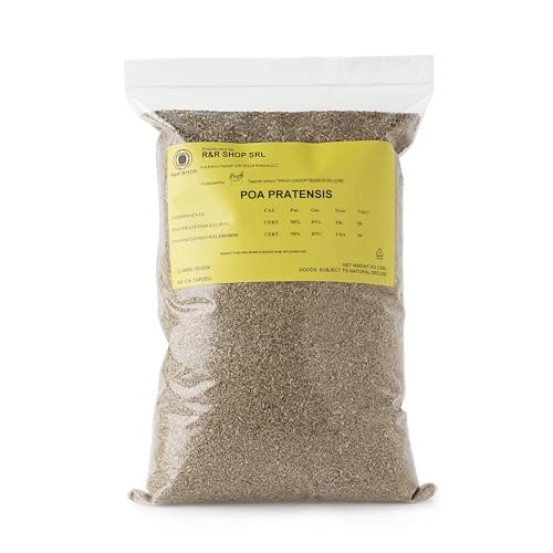 R&R SHOP - Semillas para Césped, Poa Pratensis, Autoregenerantes y Resistentes (500gr - 20mq)