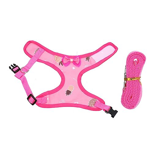 GANAZONO 1Set Pet Hen Harness Leash for Outdoor Walking Durable Traction Rope with Even Pressure Distribution for Hens for Festivals and Special Events