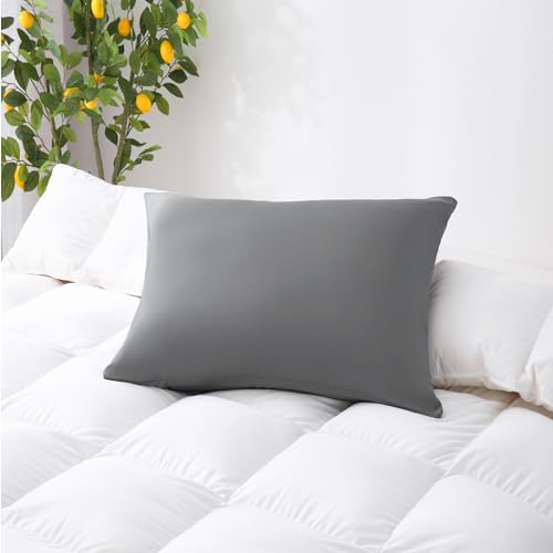 ZPECC Pillow Cases Bulk 24 Pack - Queen Pillowcases with Envelope Closure, Soft Brushed Microfiber Pillow Cover for Hotel Airb&bs Hospital Bedding Essential, Gray