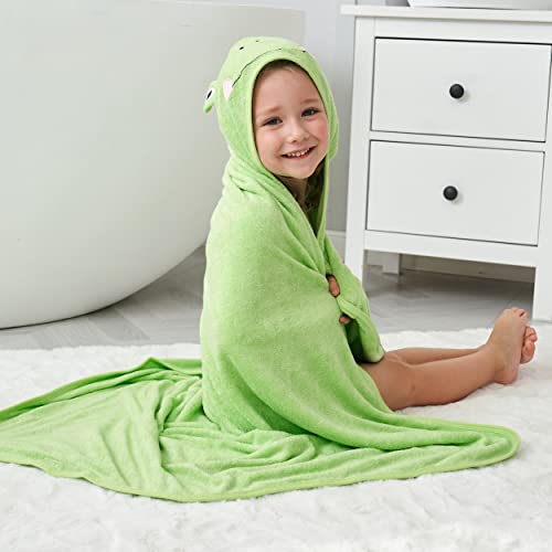 Image of HIPHOP PANDA Ultra Soft Hooded Baby Towel - 2-Layer Thick 500GSM Absorbent | Rayon Made from Bamboo, Hooded Bath Towel for Newborn, Infant, Toddler, Baby Registry - Frog, 30x40 In