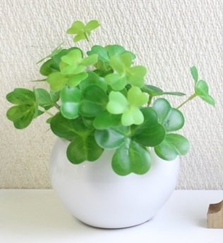 幸せのクローバー/幸せグッズ/雑貨/消臭/防菌/防汚/消臭機/造花/空気清浄/無料/空気で反応/贈り物/ギフト/花/お見舞い/人工観葉植物/清潔/造花/四葉のクローバー/選べる花器/お手入れ不要/クローバー/誕生日/記念日/敬老の日/母の日/ギフト/ (ぷっくりまん丸花器)のサムネイル