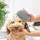 Katzen Massagegerät, 4 Stück Kätzchen Selbst Pflege Massage Bürste, Werkzeug Katze Toys, Selbstreinigende Katzenbürste, Unterstützung für Türen Tisch Wände
