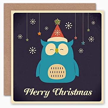 Wee Blue Coo Christmas Cards 6 Pack - Cute Owl Bird Snowflake Set Xmas Cards
