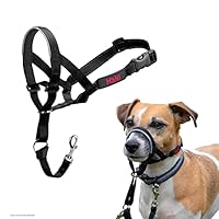 Algopix Similar Product 13 - HALTI Headcollar  To Stop Your Dog