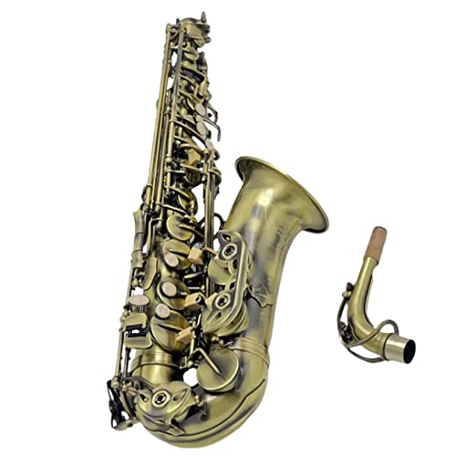 vtFbVi AgTbNX AeB[N ubVhNtg [ L[ bL E-Tune Alto Sax