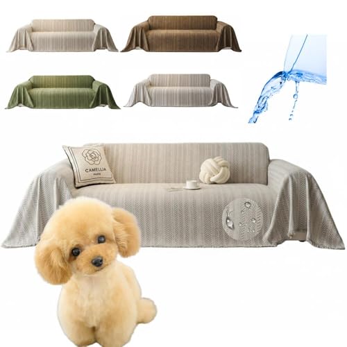 Lifetips gCv[hiToy Poodlej \t@[Jo[ k  􂦂 h }`Jo[ 2l| 3l| It IȂ ~ Eh~ LΉ lGʗp iO[j i130180CMj