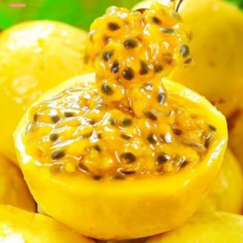 15 Sweet Passionfruit Yellow Granadilla Seeds Rare Passiflora Fruit Species, Freshly Picked.