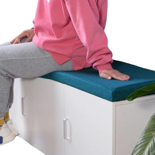 �����O�N�b�V���� 11�T�C�Y ���փx���` �����z�c �x���`�V�[�g�N�b�V���� �X�|���W�p�b�h ����~�� ���֎q�p���z�c ����5cm ���K�ɂ��Ȃ� �ό`���ɂ��� �_�C�j���O ���� �`�F�A�p�b�h �l�G�K�p [���s�A���i]