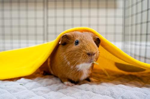 Guineadad Liner | Guinea Pig Fleece Cage Liners | Guinea Pig Bedding | Burrowing Pocket Sleeve | Extra Absorbent Bamboo | Waterproof Bottom (C&C 2X3, Yellow) #TOP4