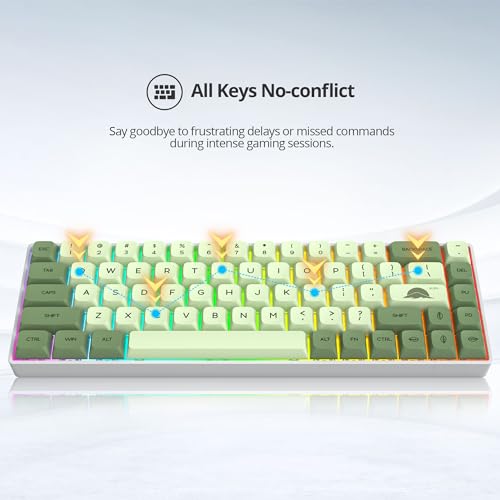 Image of 65% Mini Wired Keyboard RGB Blacklit for Office Gaming,68Matcha